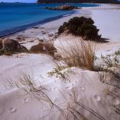 Villasimius, spiaggia di Notteri e sullo sfondo l'Isola dei Cavoli